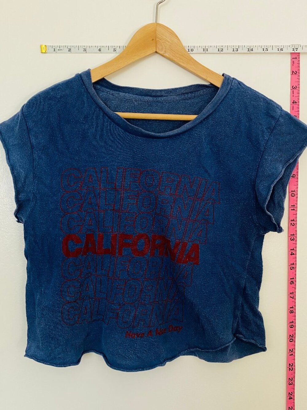 Brandy Melville Blue "California Have A Nice Day" Raw Hem Crop Tee